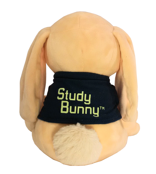 Study Bunny™